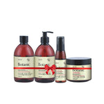 Load image into Gallery viewer, Botanic Colored Hair Protective Complete Care Pack