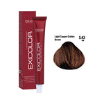 Load image into Gallery viewer, Exicolor Permanent Hair Color Cream Light Copper Golden Brown – 5.43
